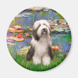 Beardie 1 - Lilies 2 Magnet