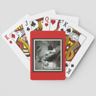 Beardie in a Top Hat Standard Playing Cards