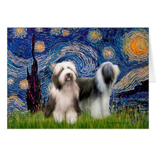 Beardie Pair 1 - Starry Night - Customised