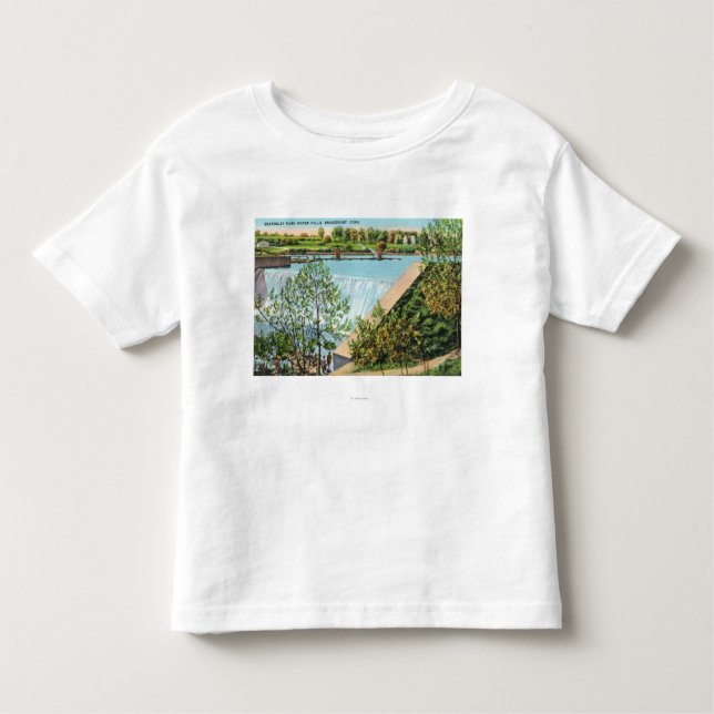 Beardsley Park Water Falls Scene Toddler T-Shirt (Front)