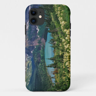 Beargrass above Grinnell Lake in the Many iPhone 11 Case