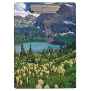 Beargrass above Grinnell Lake in the Many Clipboard