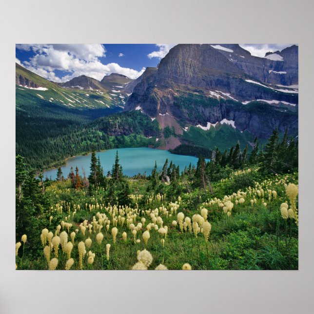 Beargrass above Grinnell Lake in the Many Poster (Front)