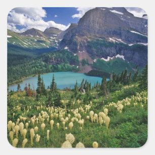 Beargrass above Grinnell Lake in the Many Square Sticker