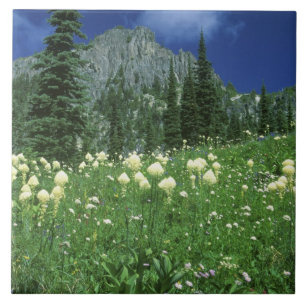 Beargrass at Eunice Lake, Mt. Rainier NP, WA, Ceramic Tile