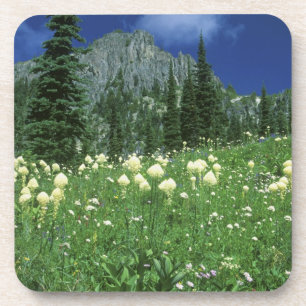 Beargrass at Eunice Lake, Mt. Rainier NP, WA, Coaster