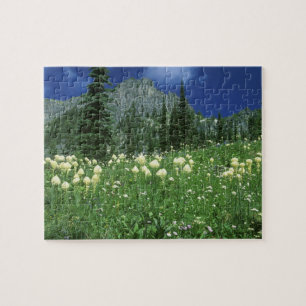 Beargrass at Eunice Lake, Mt. Rainier NP, WA, Jigsaw Puzzle