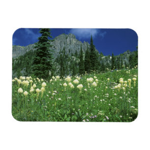 Beargrass at Eunice Lake, Mt. Rainier NP, WA, Magnet