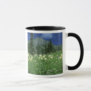 Beargrass at Eunice Lake, Mt. Rainier NP, WA, Mug