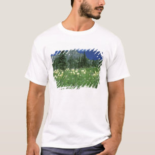 Beargrass at Eunice Lake, Mt. Rainier NP, WA, T-Shirt