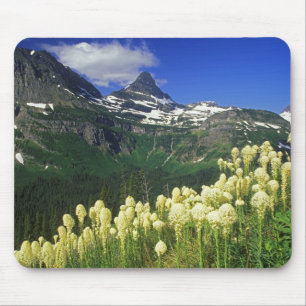 Beargrass at Logan Pass in Glacier National Park Mouse Pad