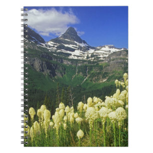 Beargrass at Logan Pass in Glacier National Park Notebook