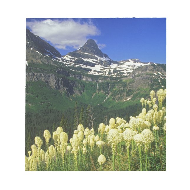 Beargrass at Logan Pass in Glacier National Park Notepad (Front)