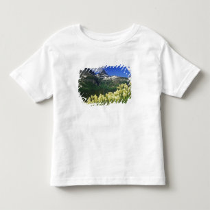 Beargrass at Logan Pass in Glacier National Park Toddler T-Shirt