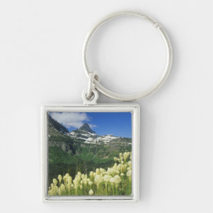 Beargrass near Logan Pass in Gacier National Key Ring