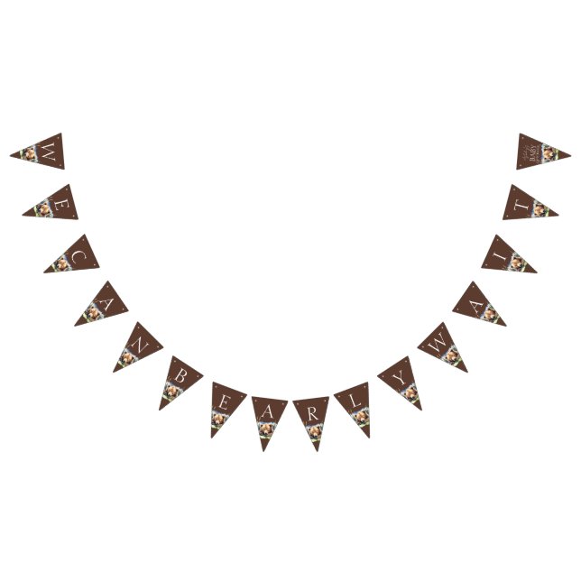 Bearly wait bear cub adventure awaits baby shower bunting  (All)