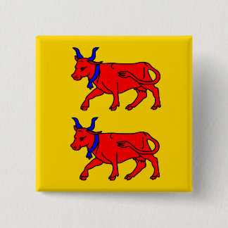 Bearn, France flag 15 Cm Square Badge