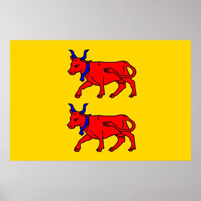 Bearn, France flag Poster (Front)