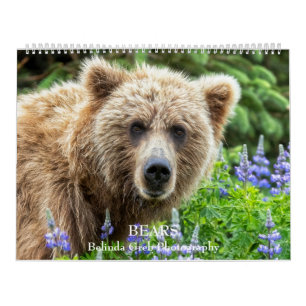 BEARS - Belinda Greb Photography Calendar