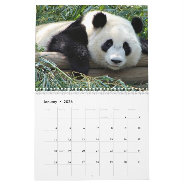 Bears Calendar (Jan 2026)