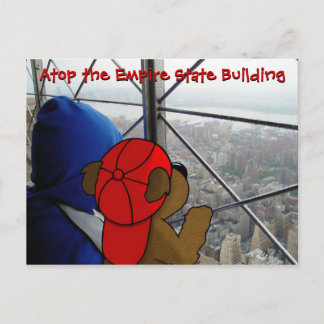 'Bear's Dizzying View' NY Postcard