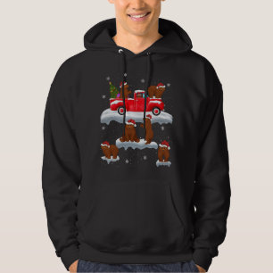 Bears Driving Christmas Tree Red Truck Bear Christ Hoodie
