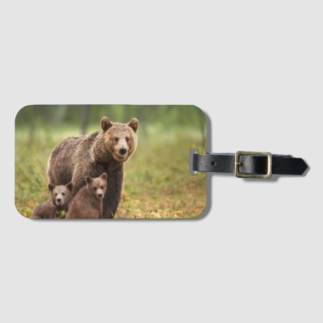 Bears Luggage Tag  (Front Horizontal)