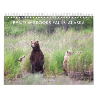 Bears of Brooks Falls - 2021 Calendar