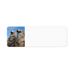 Bears Return Address Label