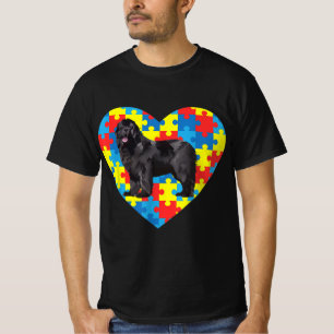 Beart Autism Newfoundland Autism Valentine T-Shirt