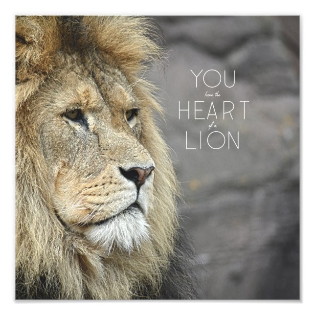 Beastly Monarch #1 (12x12) Photo Print (Front)