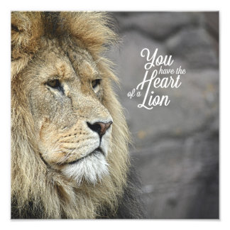 Beastly Monarch #2 (12x12) Photo Print