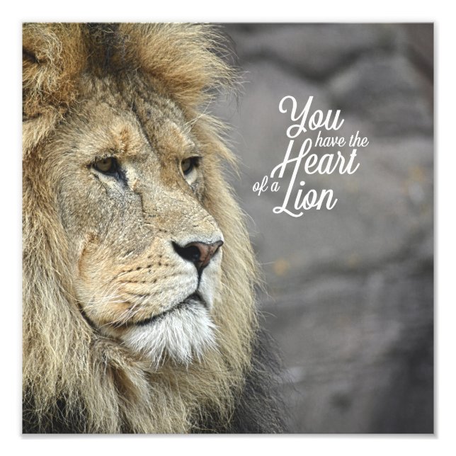 Beastly Monarch #2 (12x12) Photo Print (Front)