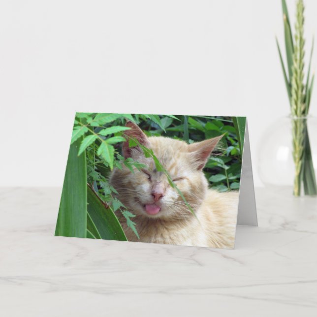 Beast's Greeting Card (Front)