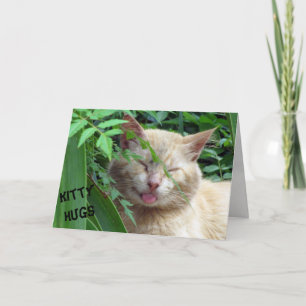 Beast's Kitty Hugs Birthday Card