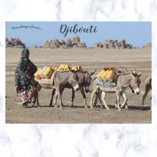 Beasts of Burden in Djibouti Postcard