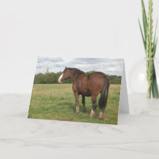 Beatrice - Shire Horse Greeting Card