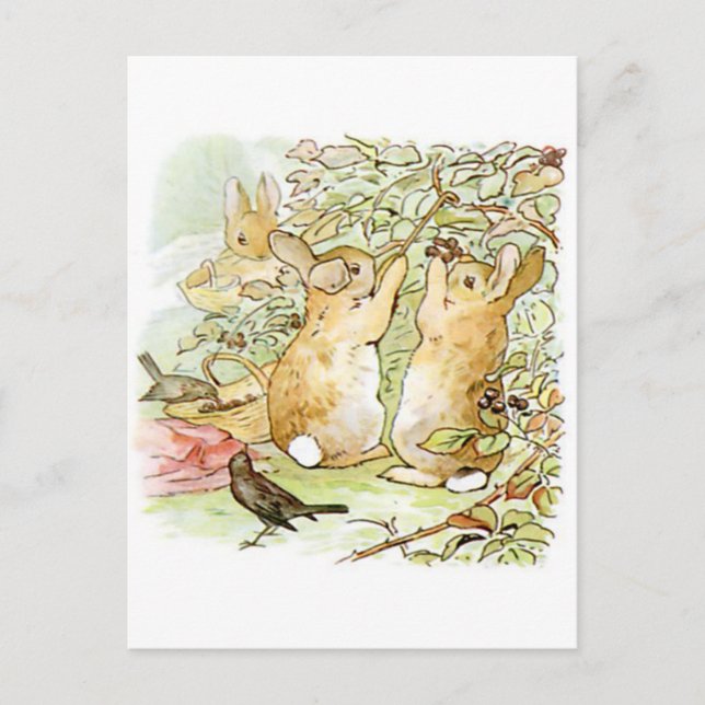 Beatrix Potter, Bunnies, Raspberry Bush, Birds Postcard (Front)