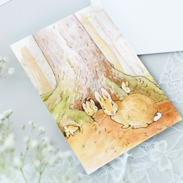 Beatrix Potter from The Tale of Peter the Rabbit Postcard (Creator Uploaded)