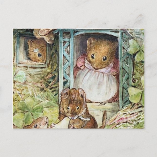 Beatrix Potter Ginger And Pickles Postcard (Front)