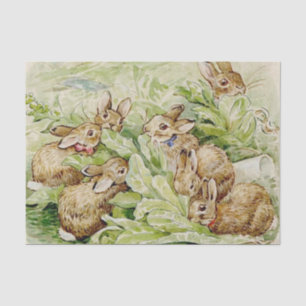 Beatrix Potter Tale of the Flopsy Bunnies Tissue Paper