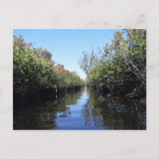 Beau Florida Everglades Postcard