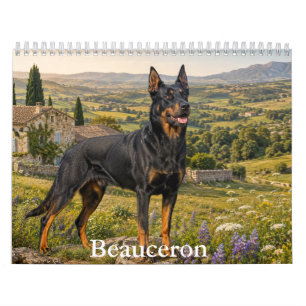 Beauceron Calendar