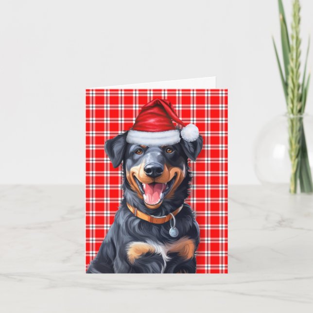 Beauceron Christmas Dog Red Plaid Christmas Holiday Card (Front)