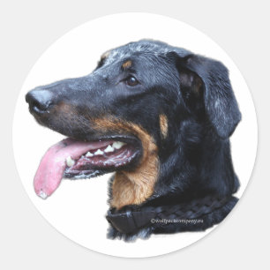 beauceron classic round sticker