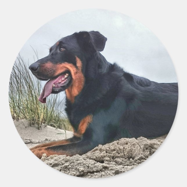 Beauceron Classic Round Sticker (Front)