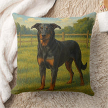 Beauceron