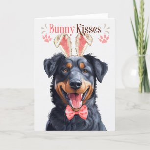 Beauceron Dog in Bunny Ears for Easter Holiday Card