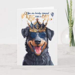 Beauceron Dog King for Day Funny Birthday Card