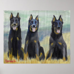 Beauceron Dog Portrait Poster